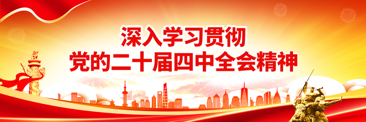 党的二十届四中全会精神